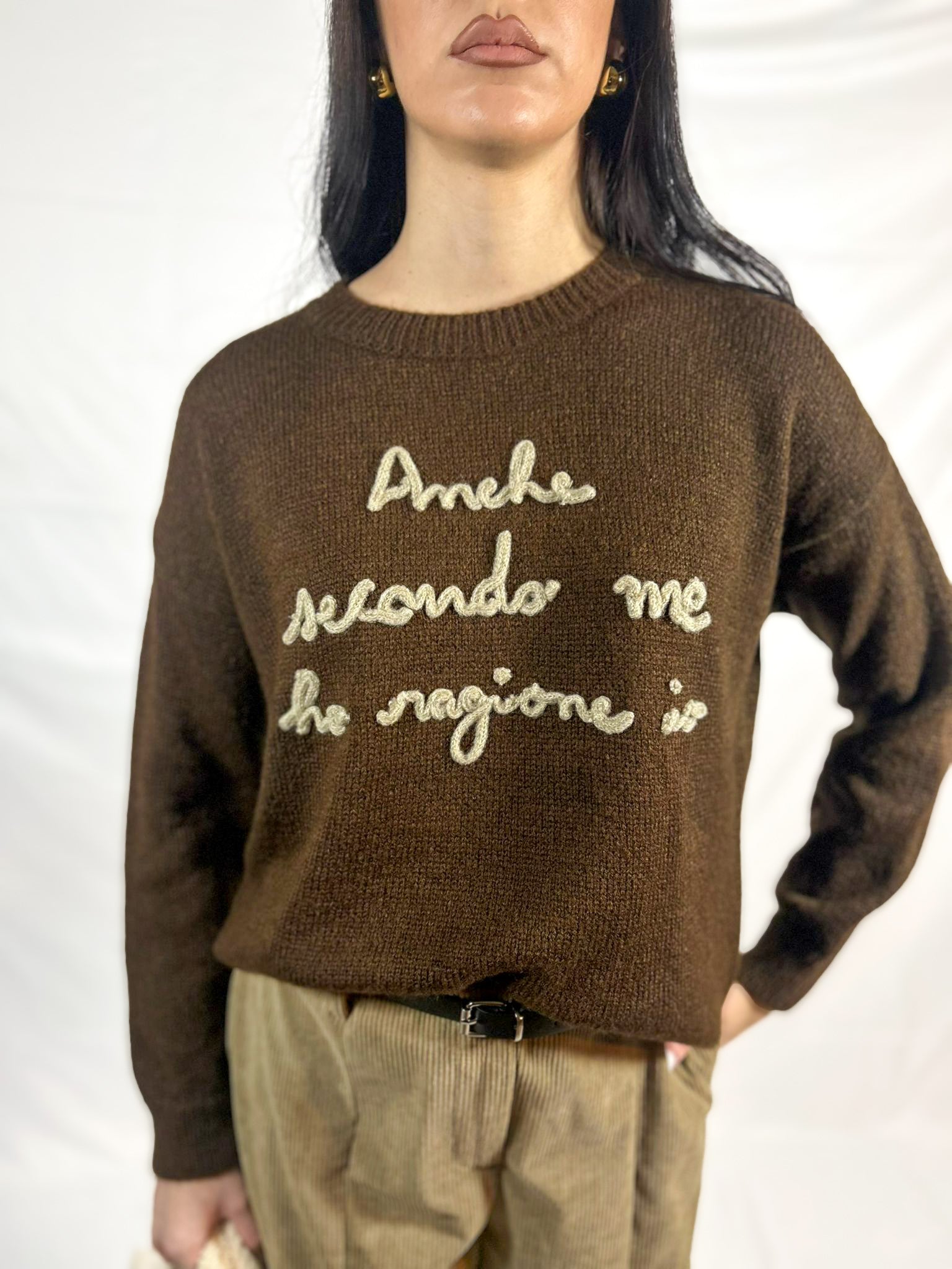 Pullover Anche secondo me ho ragione io