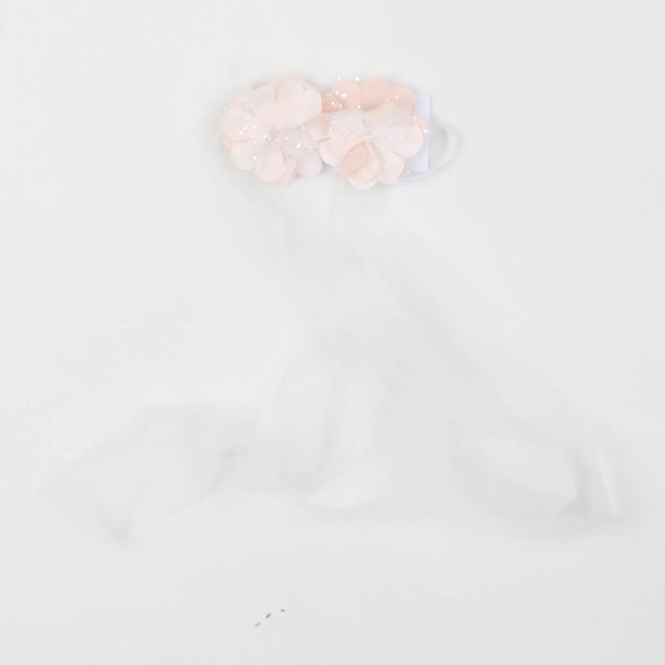 carlo pignatelli - FRONTINO