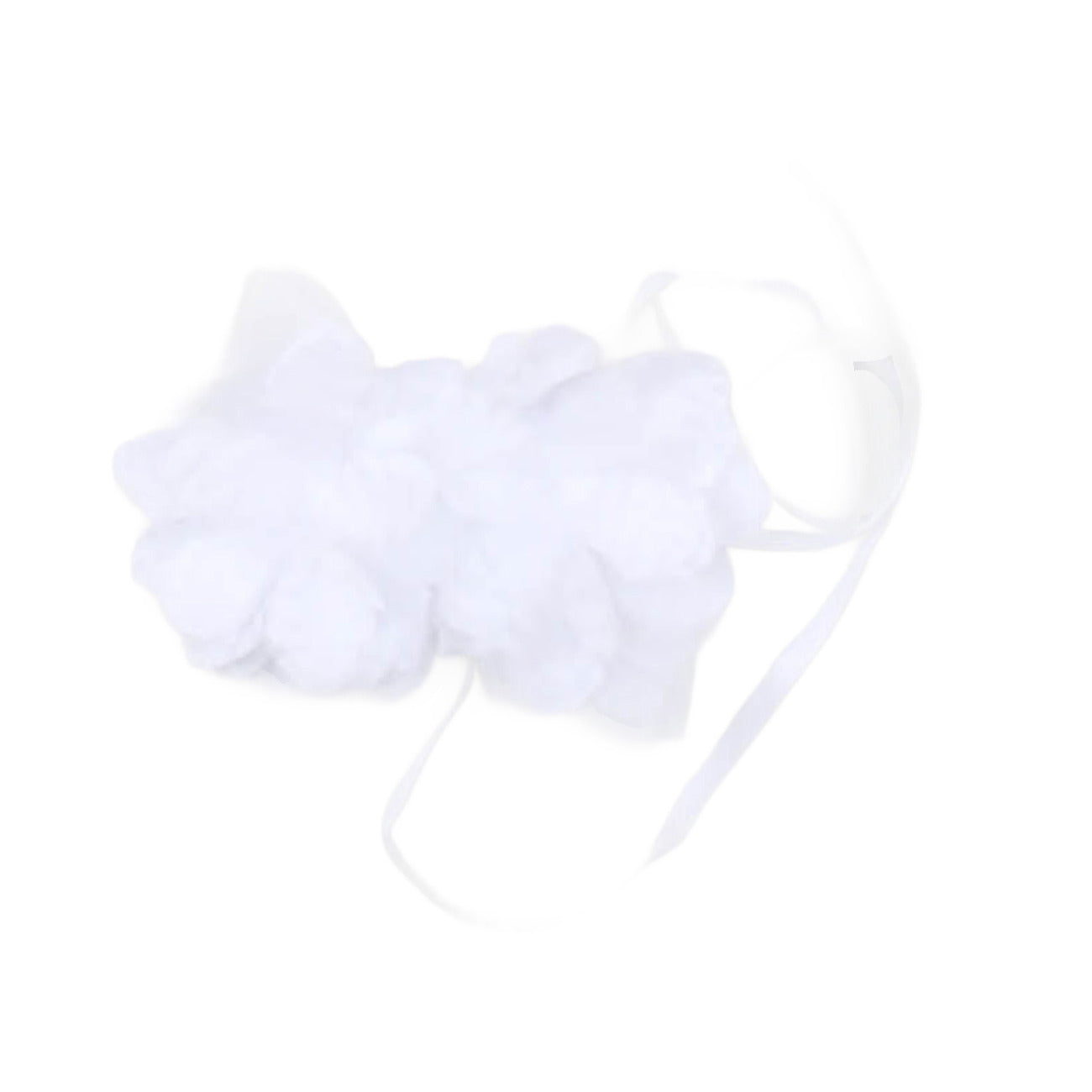 carlo pignatelli - FRONTINO