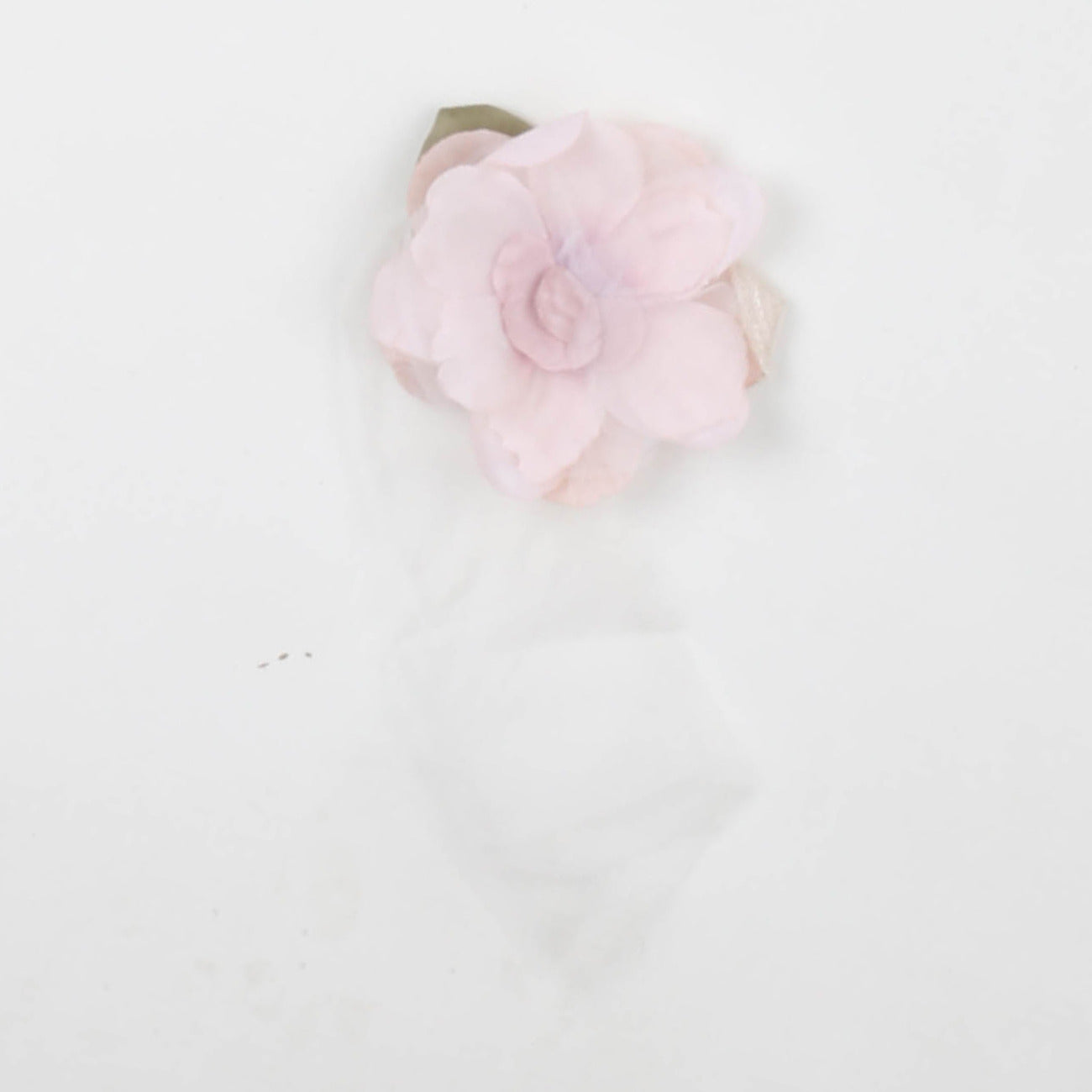 carlo pignatelli - FRONTINO