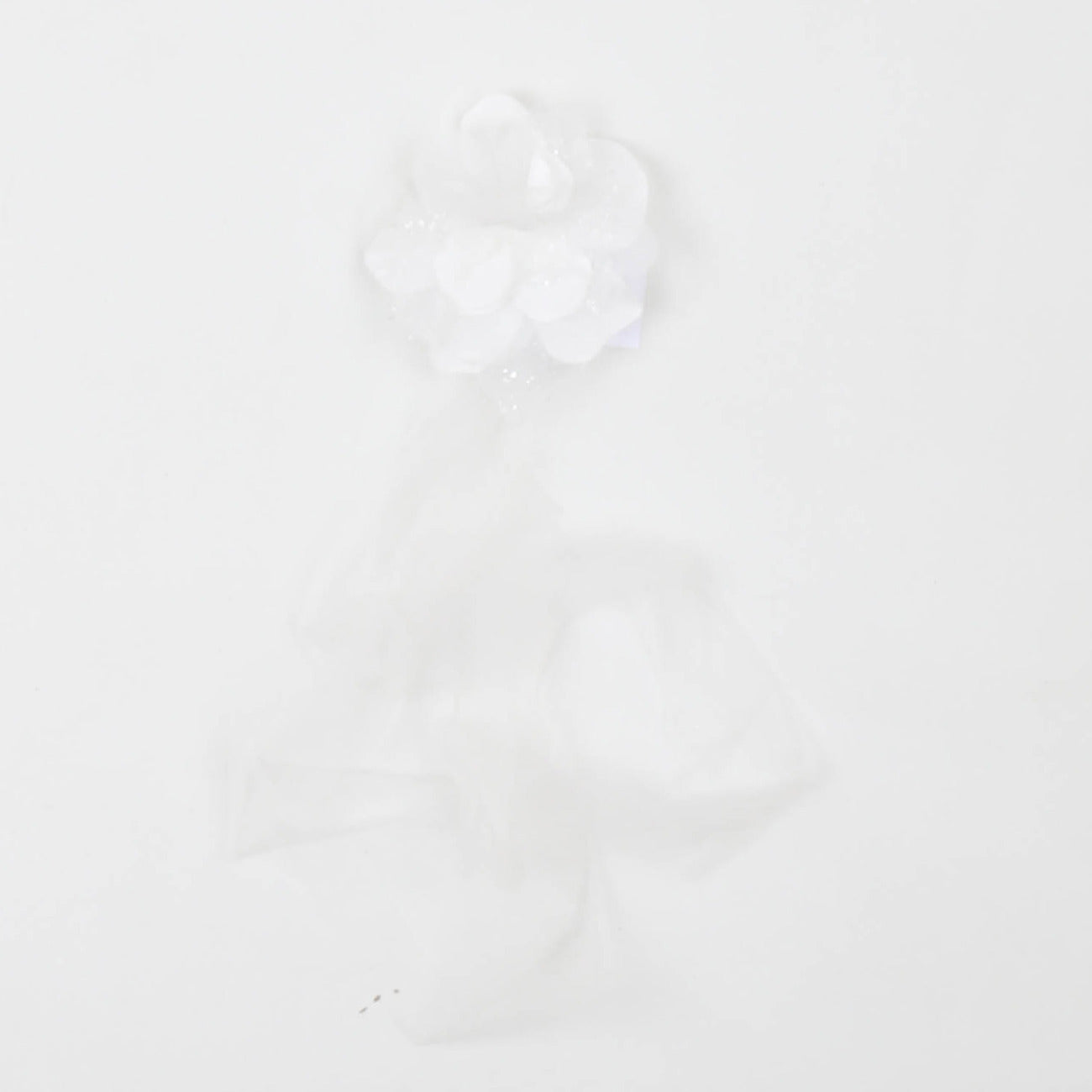 carlo pignatelli - FRONTINO